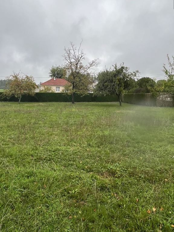 Achat Terrain LUXEUIL LES BAINS